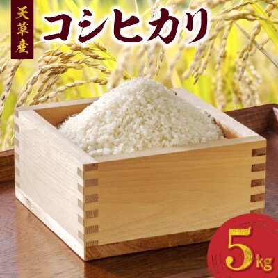 【先行受付】2024年産 天草産 コシヒカリ 5kg_S107-008A