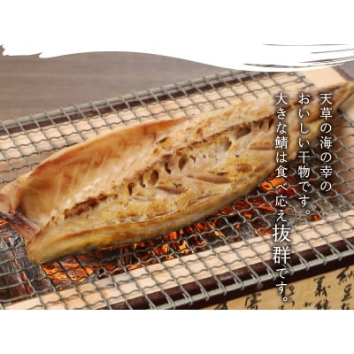 まるまのひもの　さばづくし_S113-002A