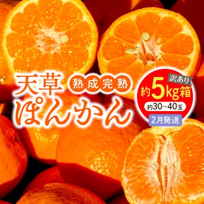 【訳あり】熟成完熟天草ぽんかん 2月発送 約5kg箱〈先行受付〉_S117-009