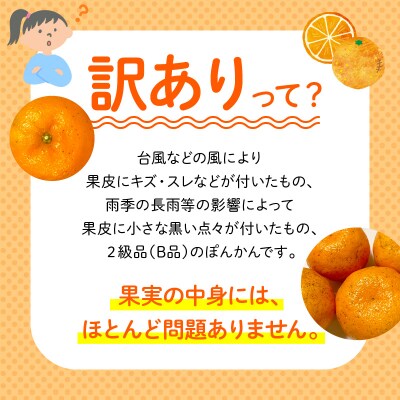 【訳あり】熟成完熟天草ぽんかん 2月発送 約5kg箱〈先行受付〉_S117-009
