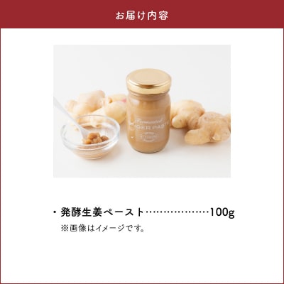 発酵生姜ペースト_S143-003