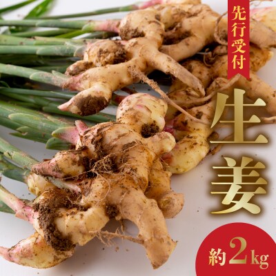 【先行受付】生姜約2kg_S143-004