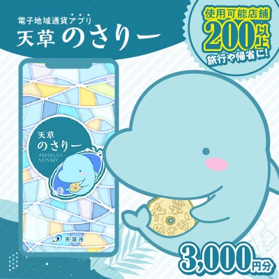 天草市満喫クーポン 3,000円分_S777-001
