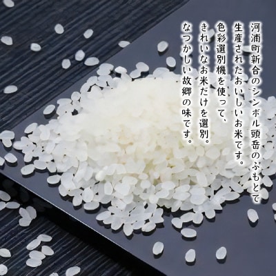 〈2024年産〉河浦町新合産　コシヒカリ　精米　6kg(3kg×2)_S112-005A