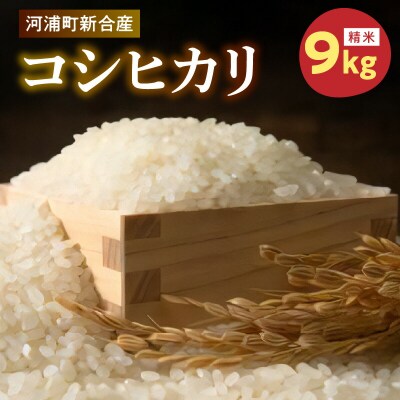 河浦町新合産 コシヒカリ 精米 9kg_S112-018