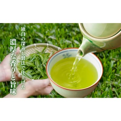 森の深蒸し茶ふくよ香100g×5袋【森町SF】