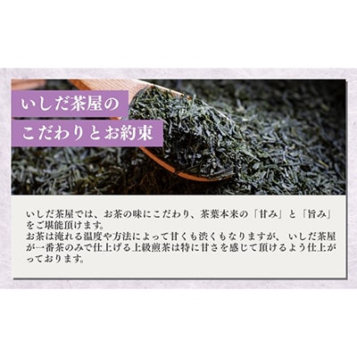 森の深蒸し茶ふくよ香100g×5袋【森町SF】