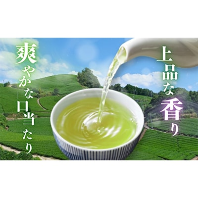 優良品種茶「あさつゆ」100g×5袋【森町SF】