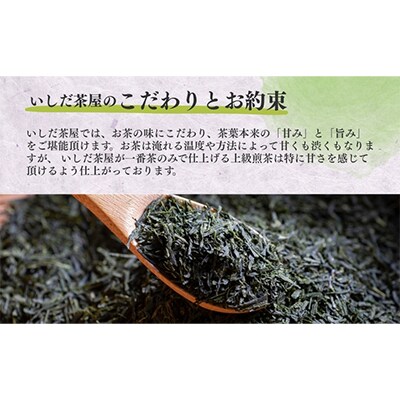 優良品種茶「あさつゆ」100g×5袋【森町SF】