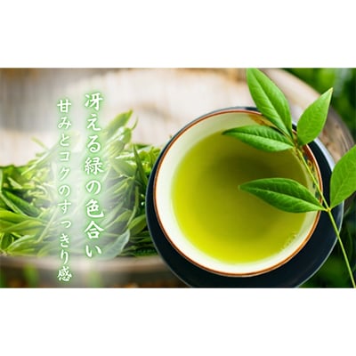 優良品種茶「さえみどり」100g×5袋【森町SF】