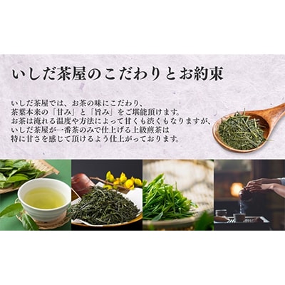 優良品種茶「さえみどり」100g×5袋【森町SF】