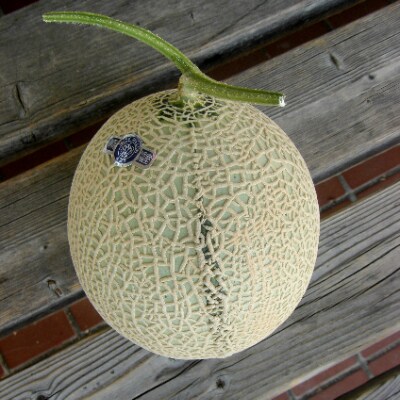 【2022年6月上旬発送】【訳あり品】クラウンメロン　1玉　～ご家庭用に～【森町SF】
