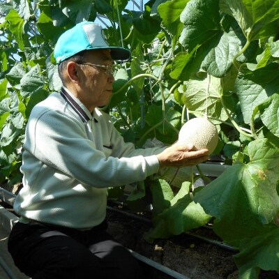 【2022年3月上旬発送】【名人の逸品】名人クラウンメロン桐箱入り　1玉【森町SF】