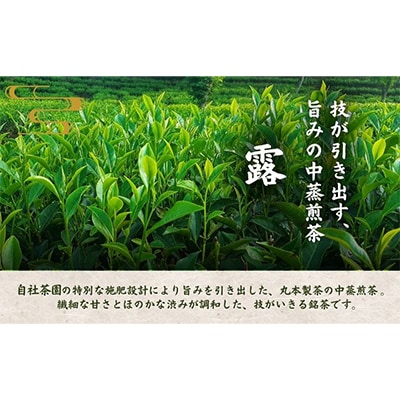 茶匠 本夛利吉 作　高級煎茶 【黄金の露　本夛】【森町SF】