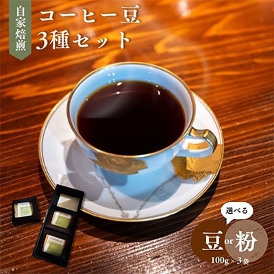 自家焙煎コーヒー豆3種セット【100g×3袋】(豆)【森町SF】