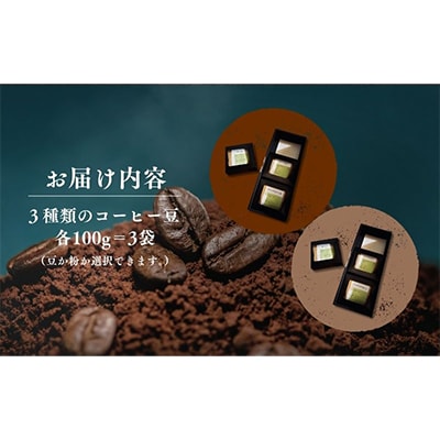 自家焙煎コーヒー豆3種セット【100g×3袋】(豆)【森町SF】