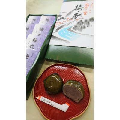 【さとふる限定】生クリーム大福(バニラ・静岡抹茶)10個入と遠州森町銘菓梅衣10個入りのセット　SF