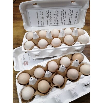 2021年6月発送開始『定期便』極上の卵かけご飯をご自宅で召し上がれ!烏骨鶏の卵20個　全12回