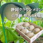 クラウンメロン【上(山等級)】中玉(1.3kg前後)6玉入り【森町SF】