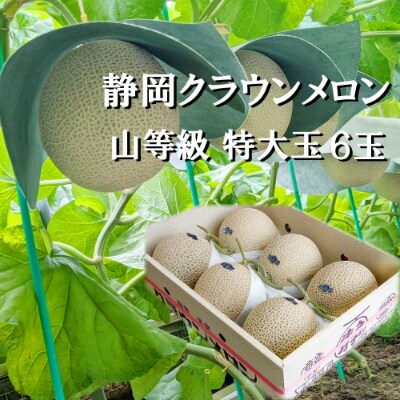 クラウンメロン【上(山等級)】特大玉(1.5kg前後)6玉入り【森町SF】