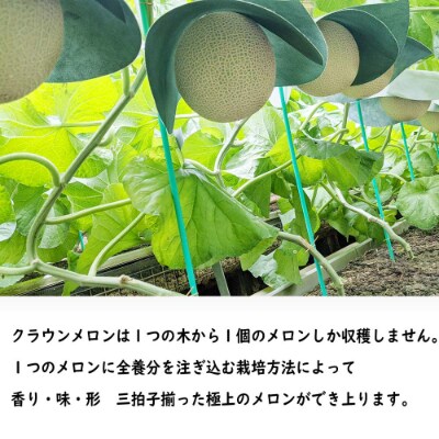 クラウンメロン【並(白等級)】大玉(1.4kg前後)6玉入り【森町SF】
