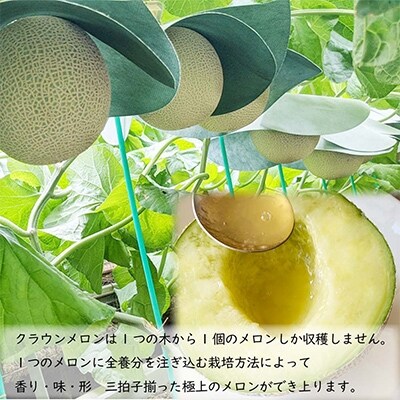 2022年8月発送開始『定期便』クラウンメロン【並(白等級)】中玉(1.3kg前後)1玉入り全3回