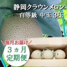 2023年5月発送開始『定期便』クラウンメロン【並(白等級)】中玉 3玉入り【森町SF】全3回