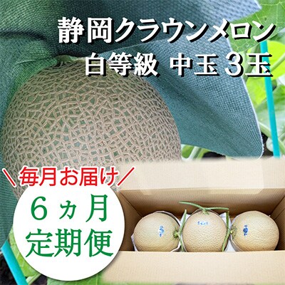 2023年4月発送開始『定期便』クラウンメロン【並(白等級)】中玉 3玉入り【森町SF】全6回