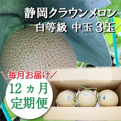 2023年3月発送開始『定期便』クラウンメロン【並(白等級)】中玉 3玉入り【森町SF】全12回
