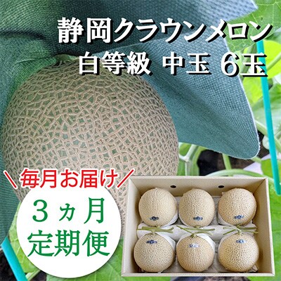 2023年4月発送開始『定期便』クラウンメロン【並(白等級)】中玉 6玉入り【森町SF】全3回