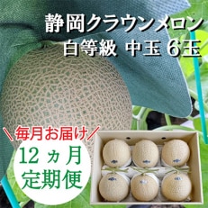 2023年5月発送開始『定期便』クラウンメロン【並(白等級)】中玉 6玉入り【森町SF】全12回