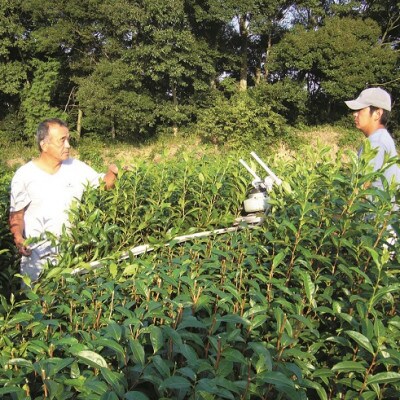 静岡(森町産)深蒸し煎茶【やぶ北茶】100g×5袋【森町SF】