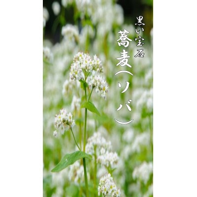 【黒い宝石】国産ソバ蜂蜜【森町SF】