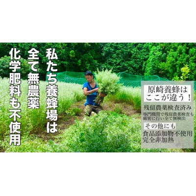 【白色金に輝く】国産アカシア蜂蜜 120g【森町SF】