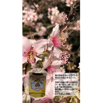 【山さくら香る】国産さくら蜂蜜 120g【森町SF】