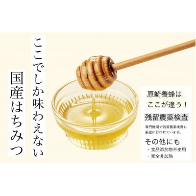 【春の花咲く】国産れんげ蜂蜜 120g【森町SF】