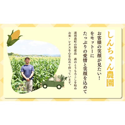 【令和9年5月下旬より順次発送】森のとうもろこし9～11本【森町SF】