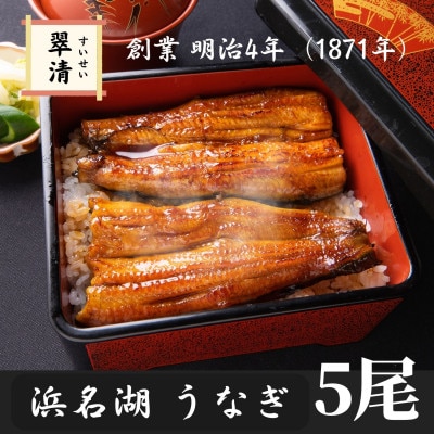 【創業1871年】浜名湖うなぎ 蒲焼5尾(625g前後)ミネラル成分豊富な水で育てた鰻【森町SF】
