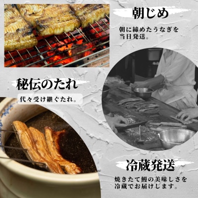 【創業1871年】浜名湖うなぎ 蒲焼8尾(1kg前後)ミネラル成分豊富な水で育てた鰻【森町SF】