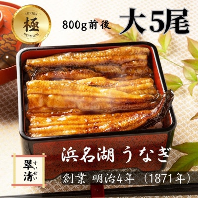 【創業1871年】浜名湖うなぎ 蒲焼5尾(800g前後)ミネラル成分豊富な水で育てた大鰻【森町SF】