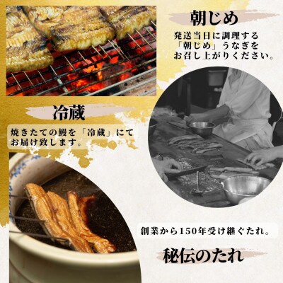 【創業1871年】浜名湖うなぎ 蒲焼8尾(1,280g前後)ミネラル豊富な水で育てた大鰻【森町SF】