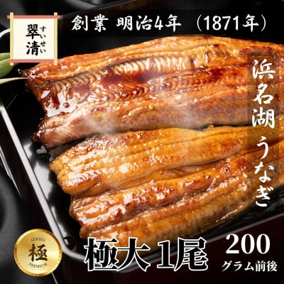 【創業1871年】浜名湖うなぎ 蒲焼1尾 200g前後 ミネラル豊富な水で育てた極大鰻【森町SF】