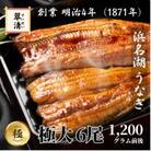 【創業1871年】浜名湖うなぎ 蒲焼6尾 1,2kg前後 ミネラル豊富な水で育てた極大鰻【森町SF】