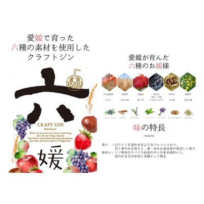 道後ジン　六媛　500ml