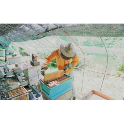 【新登場!】～京都府南山城村産～中下おじちゃんの愛情詰まった天然ハチミツ500g(非加熱)