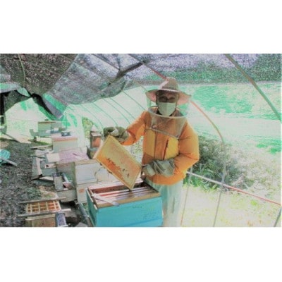 【新登場!】～京都府南山城村産～中下おじちゃんの愛情詰まった天然ハチミツ500g(非加熱)