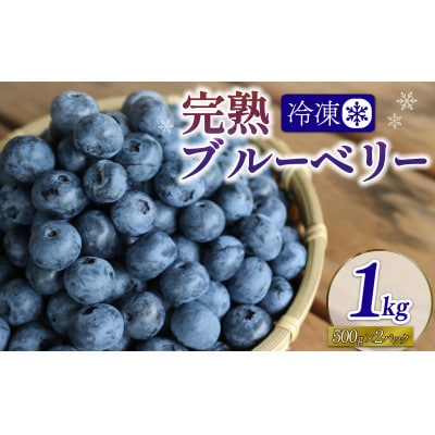 先行予約【8月下旬から随時配送】うえだブルーベリー畑の手摘みブルーベリー【1kg】