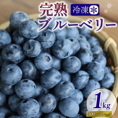 先行予約【8月下旬から随時配送】うえだブルーベリー畑の手摘みブルーベリー【1kg】