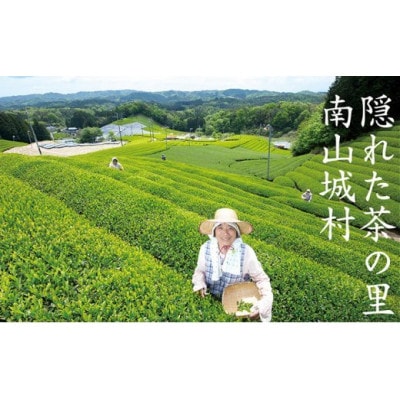 【宇治抹茶スイーツ】抹茶の味がしっかりと味わえる　むらちゃアイス抹茶6個ほうじ茶6個セット
