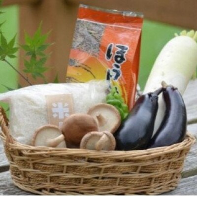 産地直送!南山城村ふるさと味わいセットA【村のお野菜・お茶・お米】